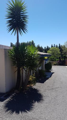 a couple of palm trees sitting next to a building at L'acqua Motel Express in Ponta Grossa