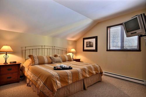 a bedroom with a bed and a tv in a room at Aiglon by Rendez-Vous Mont-Tremblant in Mont-Tremblant