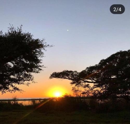 a sunset over the ocean with two trees in the foreground at Hotel Muralha in São Lourenço do Sul