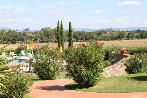 a garden with a pool and some plants and trees at Agriturismo Verbena in Castiglione del Lago