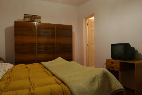 1 dormitorio con 1 cama y vestidor con TV en Guesthouse Pension Andrea, en Tirana
