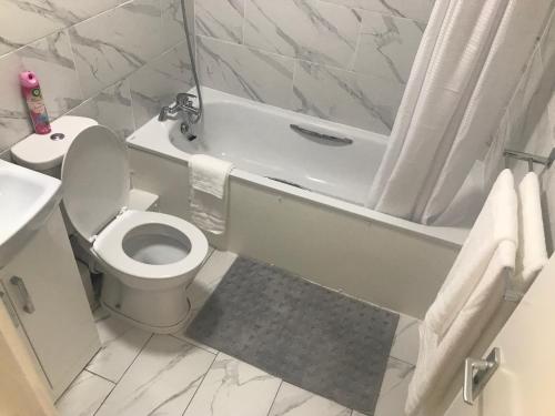 a bathroom with a toilet and a shower and a sink at Luxury 2 Bedroom Flat in Abbey Wood, London in London