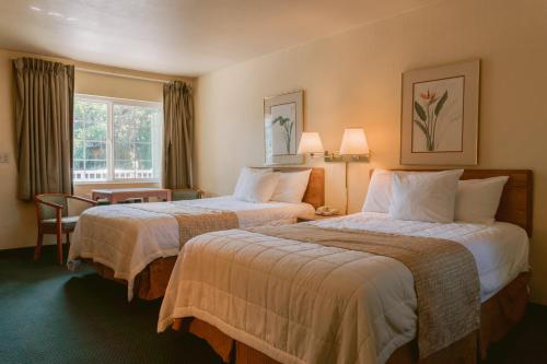 a hotel room with two beds and a window at Riverfront Inn Roseburg in Roseburg
