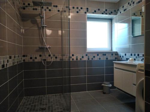 a bathroom with a shower and a sink at Gîte de La Basse Roche in Sougé
