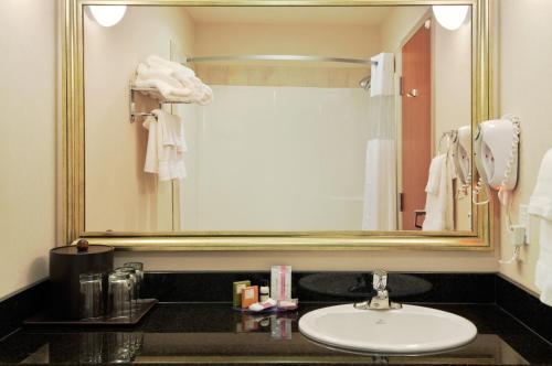 a bathroom with a sink and a large mirror at Canalta Hotel Humboldt in Humboldt