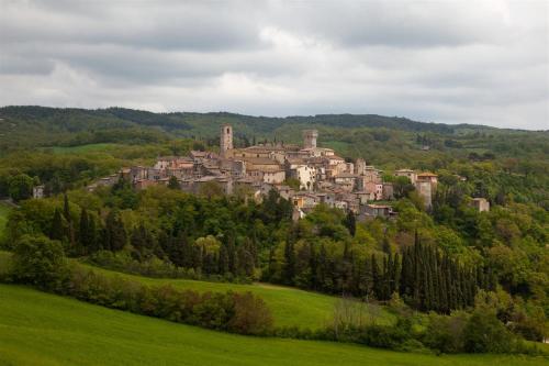 a town on top of a hill with trees at Aurora Agriturismo in San Casciano dei Bagni