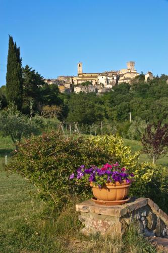 a pot of flowers sitting on top of a field at Aurora Agriturismo in San Casciano dei Bagni