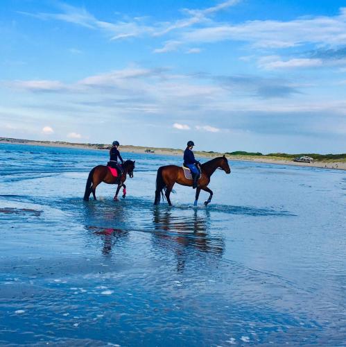 two people riding horses in the water on the beach at de Schelphoeve in Ellemeet