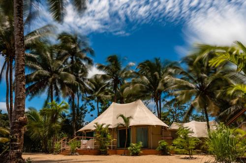 a tent on the beach with palm trees at Canvas & Orchids Retreat in Tatai