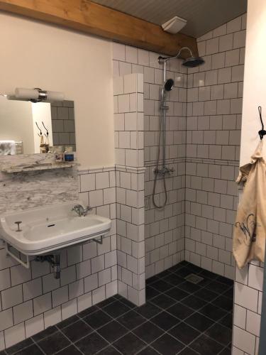 a bathroom with a sink and a shower at Halte Bontebrug in Silvolde