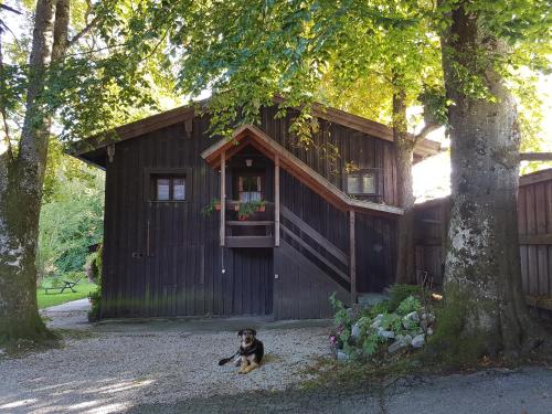 a dog sitting in front of a building with a balcony at Ferienwohnung Kraihof, 83703 Gmund am Tegernsee in Gmund am Tegernsee