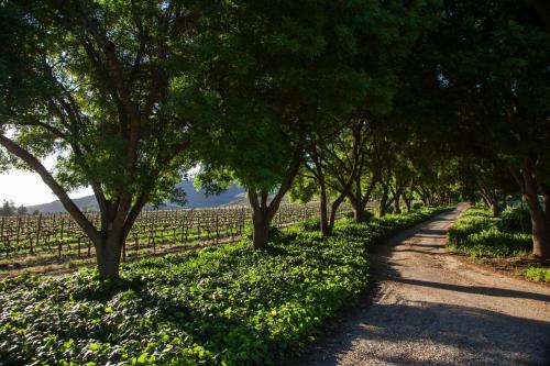 Κήπος έξω από το Lentelus Farmstay