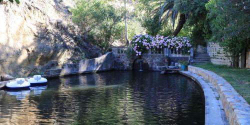 a pool of water with boats in it with flowers at Camps Bay Forest Pods in Cape Town