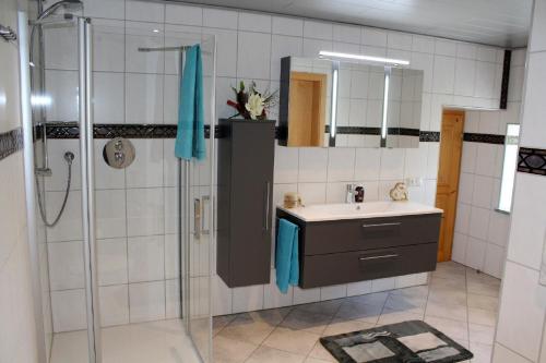 La salle de bains est pourvue d'un lavabo et d'une douche. dans l'établissement Woidhaisl, à Lam