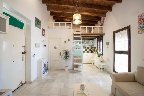Alohamundi Castilla II