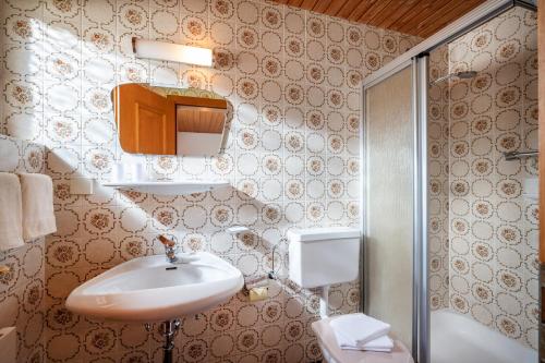 La salle de bains est pourvue d'un lavabo et d'une douche. dans l'établissement Haus Kreidl, à Schwendau