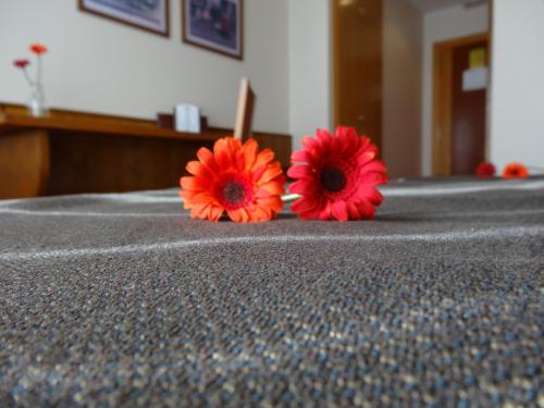 two red flowers sitting on top of a table at Hotel El Pescador in Perillo