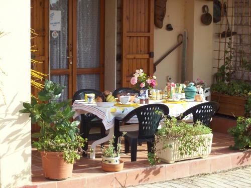 La Yucca – Photos 5
