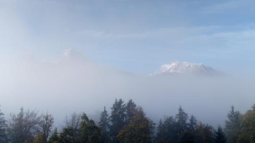 a mountain in the middle of trees in the fog at Die schlafende Goass in Bischofswiesen