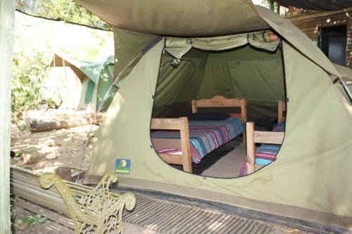 a tent with a bed and a chair in it at Hazyview Adventure Backpackers in Hazyview
