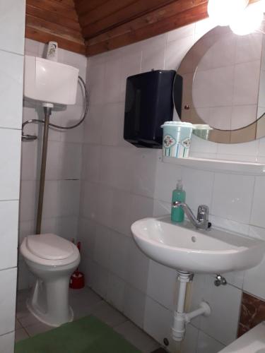 a bathroom with a sink and a toilet and a mirror at Júlia Vendégház in Sárospatak