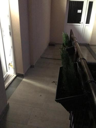 an empty hallway with a door and some plants at Benvenuto Apartman in Budapest
