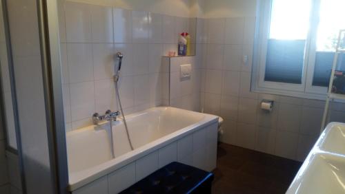 a bathroom with a bath tub with a shower at 3 Doppelbett Business Apartment am Bodensee in Arbon