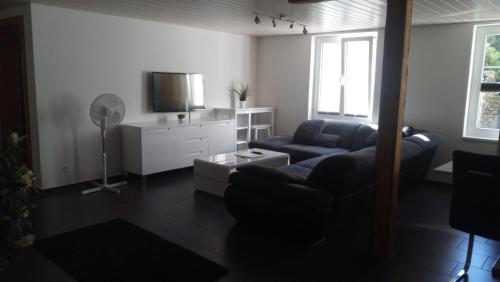 Posezení v ubytování 3 Doppelbett Business Apartment am Bodensee