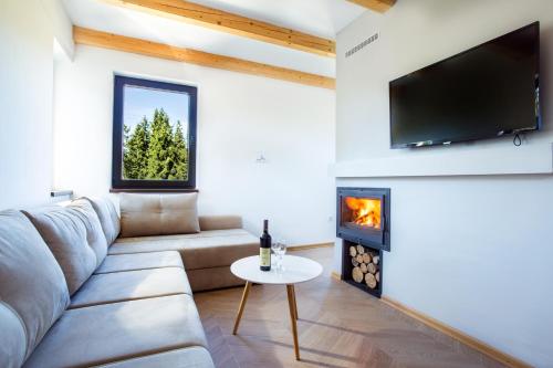 a living room with a couch and a fireplace at Jahorinski IZLOG in Jahorina