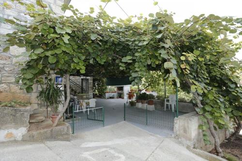 Apartment Dina - 3 bedrooms – Photos 3