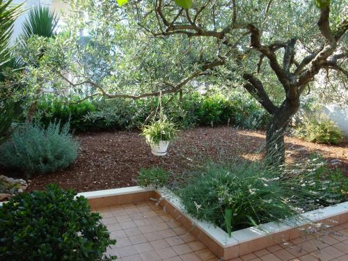 Apartment Tea - 60 m from beach – Photos 5