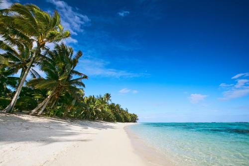 a beach with palm trees and the ocean at Motu Beachfront Art Villas in Rarotonga
