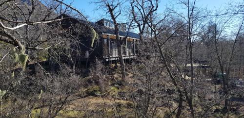 a house on the side of a hill with trees at Vivelodge in Las Trancas