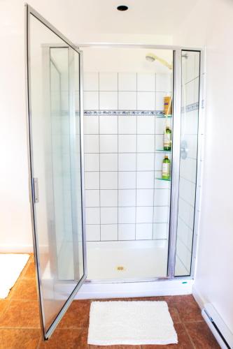 a shower with a glass door in a bathroom at Armand Heights in Ganges