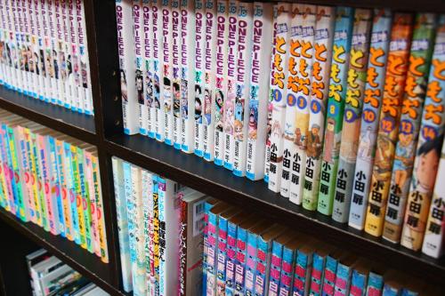 a shelf filled with lots of dvds at Gokase Campsite Camping and Guesthouse in Gokase