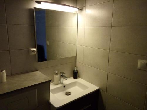 ein Bad mit einem Waschbecken und einem Spiegel in der Unterkunft Appartement 2 pieces 40 m2, dans hyper centre, avec piscine au rez de chaussee in Grenoble