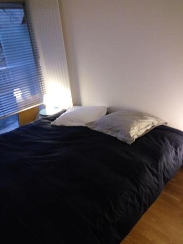 ein Schlafzimmer mit einem Bett mit einer schwarzen Decke und einer Lampe in der Unterkunft Appartement 2 pieces 40 m2, dans hyper centre, avec piscine au rez de chaussee in Grenoble