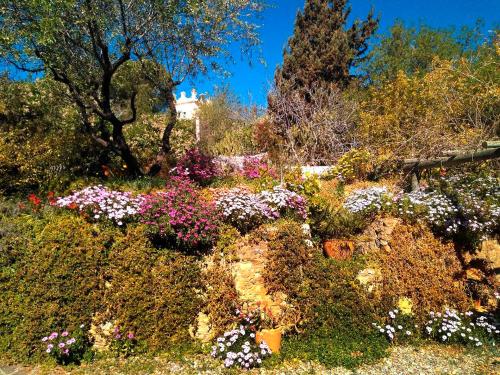 a garden of flowers with a building in the background at Casa Champasak in Órgiva