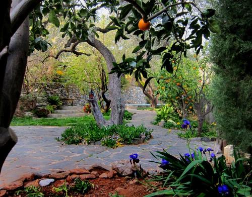 a garden with an orange tree and some flowers at Casa Champasak in Órgiva
