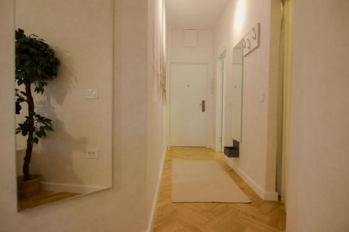 un couloir avec une plante en pot et un miroir dans l'établissement Studio Stil, à Belgrade