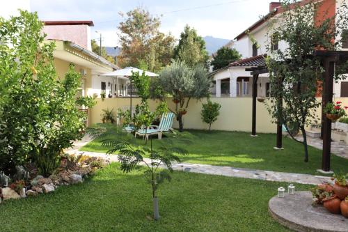 a courtyard of a house with a garden at Arouca Guest House in Arouca