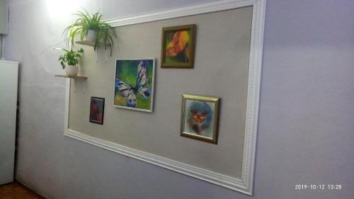 a mirror on a wall with pictures of butterflies at Economy Hotel Lira in Saint Petersburg