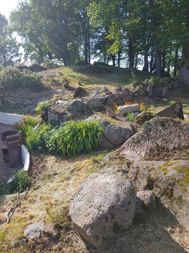a garden with rocks and flowers on a hill at Le Grand Domaine du Rocher in Bonnemain