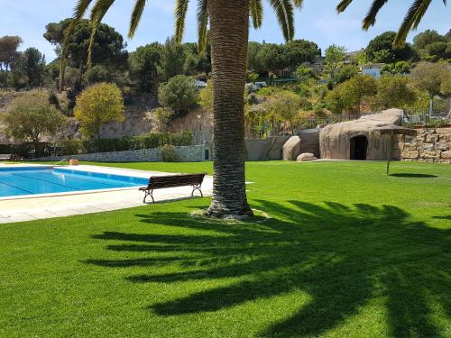 una palmera y un banco junto a una piscina en El Carlitos, en Arenys de Mar