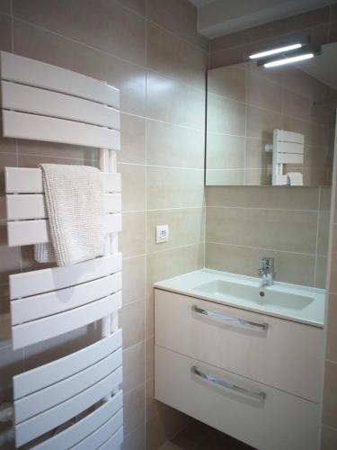 une salle de bain avec un lavabo et un miroir dans l'établissement Appartement B16 onde Marine, à Port-Vendres