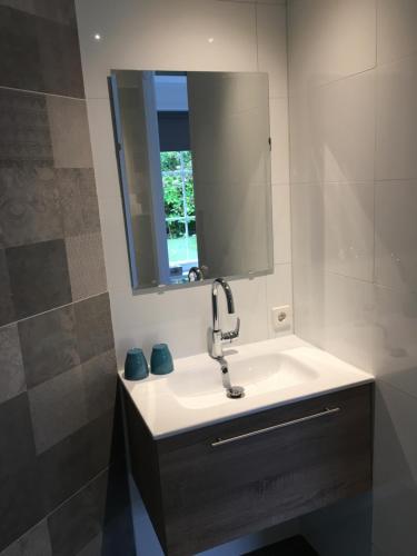een badkamer met een wastafel en een spiegel bij B&B Onder de Molen in Burgh Haamstede