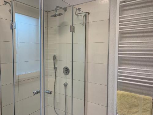 een douche in een badkamer met een glazen deur bij Casa Petri in Sînpetru