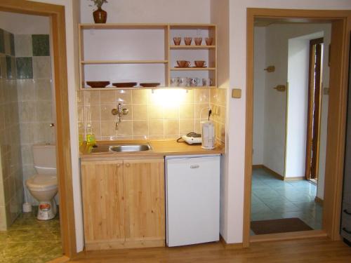 a small kitchen with a sink and a toilet at Privát Liptov 11 in Liptovský Mikuláš