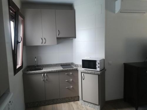uma pequena cozinha com armários brancos e um micro-ondas em Apartamentos Buena Vista 2 em Coto Rios