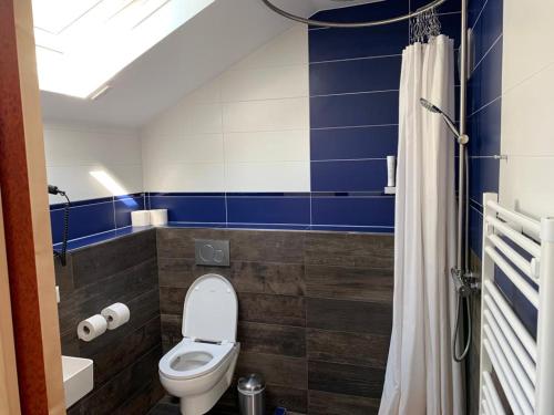La salle de bains est pourvue de toilettes et d'un mur bleu. dans l'établissement Clubdorf Galtür GmbH Veldener Traumschiff, à Velden am Wörther See